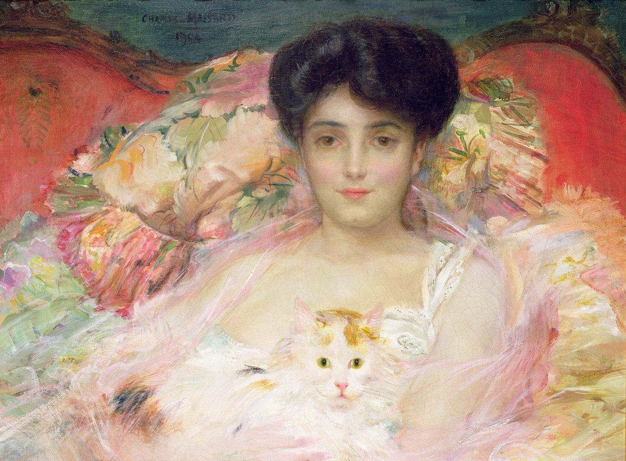 Dáma s kočkou, 1904 (olej) od Charles Massard