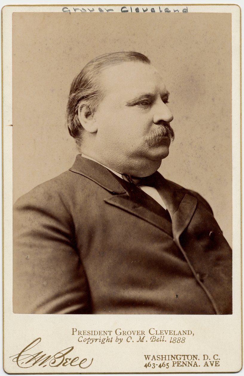 Stephen Grover Cleveland (1837-1908), 22. a 24. prezident Spojených států amerických (foto alba) od Charles Milton Bell