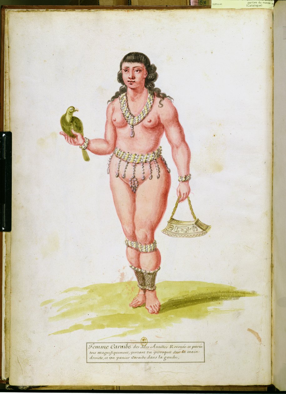Pochází z Karibiku s papouškem, z rukopisu o rostlinách a civilizaci na Antilách, kolem roku 1686 od Charles Plumier