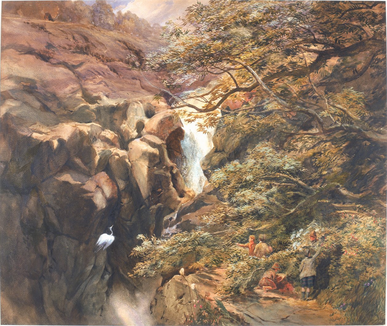 Falls of Bran (barva těla a wc na papíře) od Charles Richardson