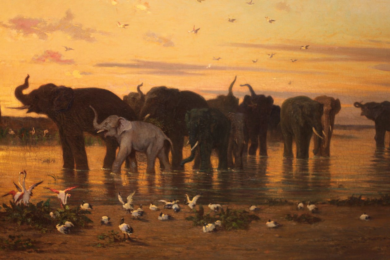 Afrických slonů od Charles Émile de Tournemine