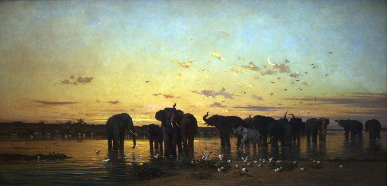 Afrických slonů od Charles Émile de Tournemine