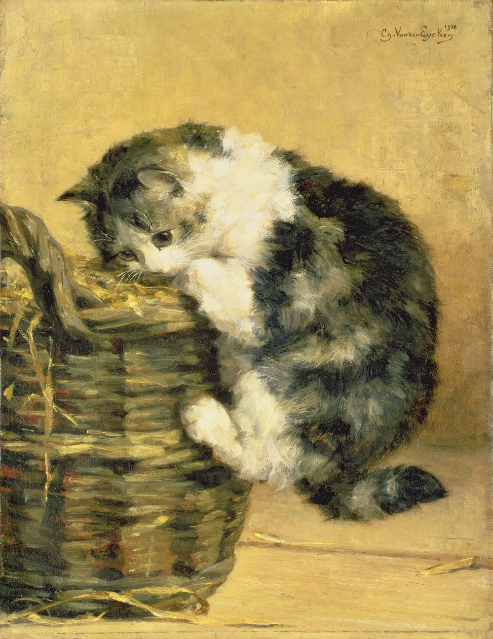 Kočka s košíkem od Charles van den Eycken