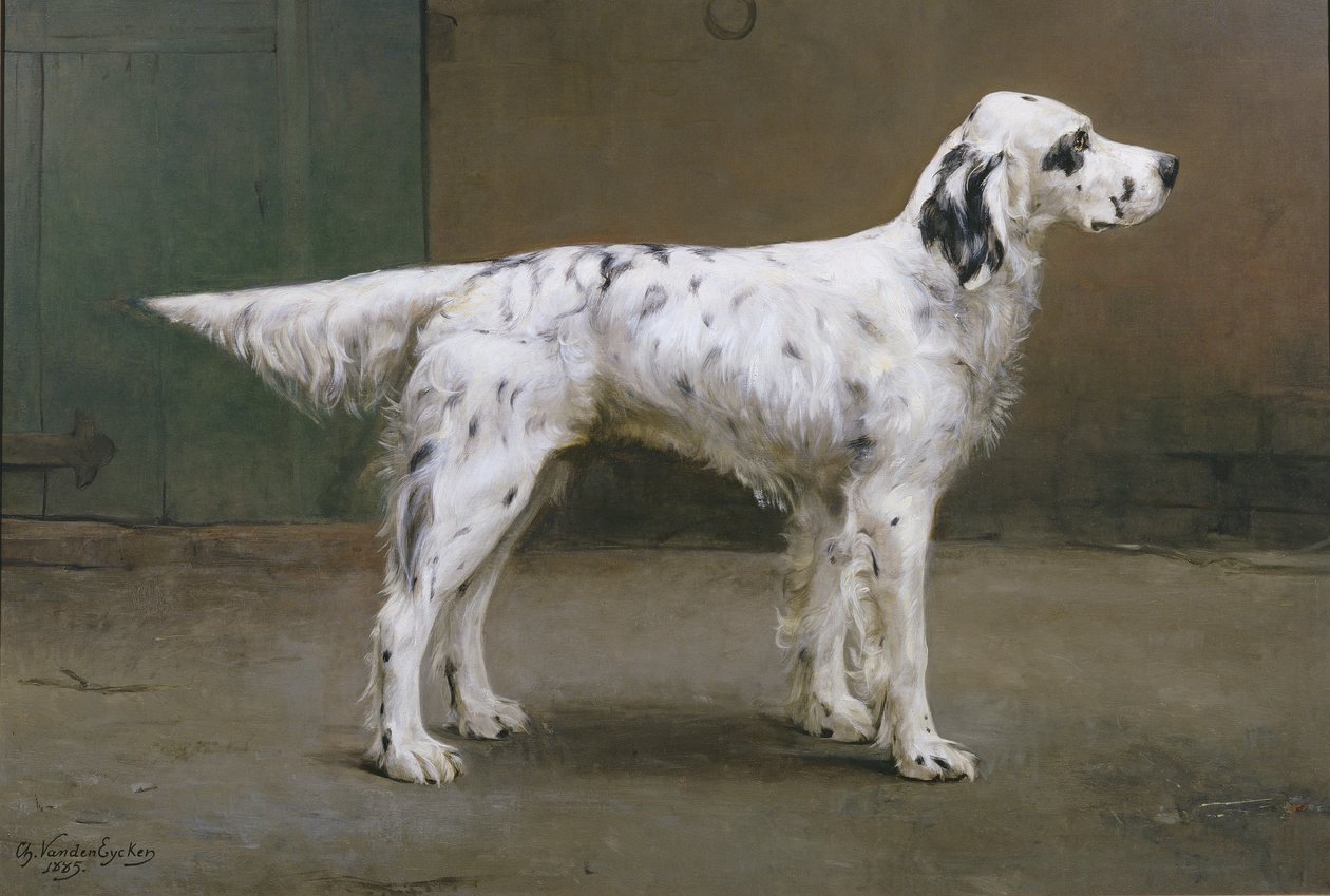Portrét psa, 1885 (pár k 378730) od Charles van den Eycken