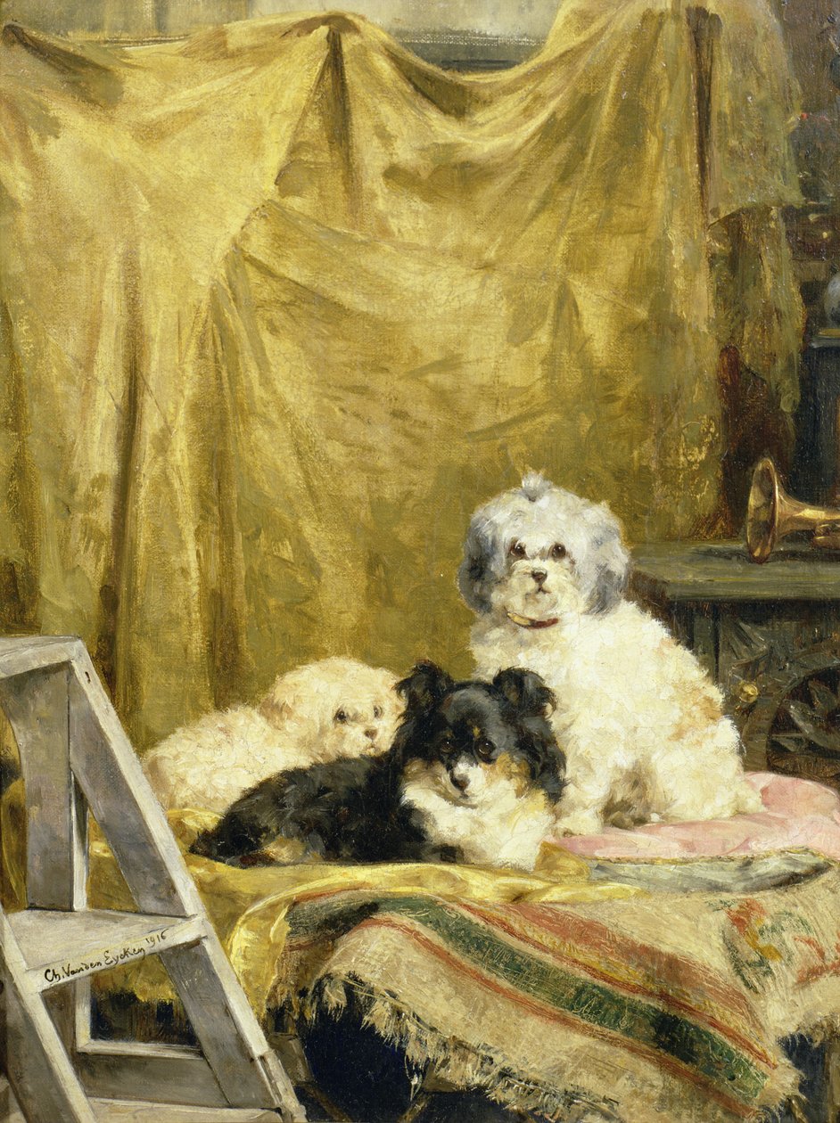 Tři psi od Charles van den Eycken