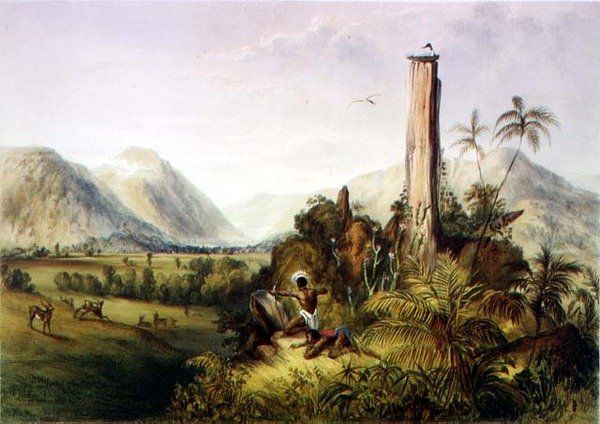 Pure-Piapa, pozoruhodný čedičový kámen v Guyaně, z „Views in the Interior of Guiana“, vyrytý hospodou Paulem Gaucim (fl.1834-67). od Ackermanna od Charles (after) Bentley