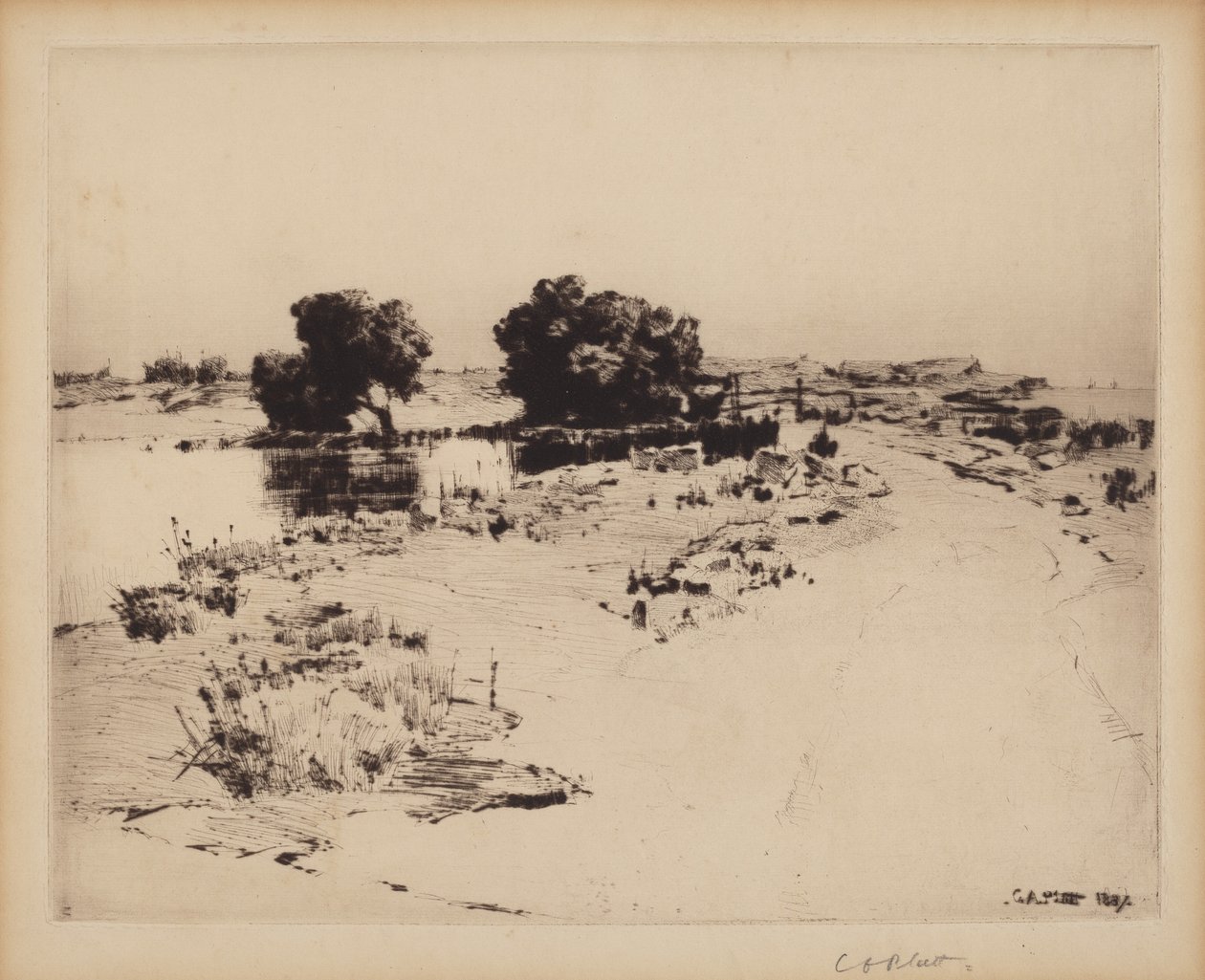 Cape Ann Willows od Charles A. Platt