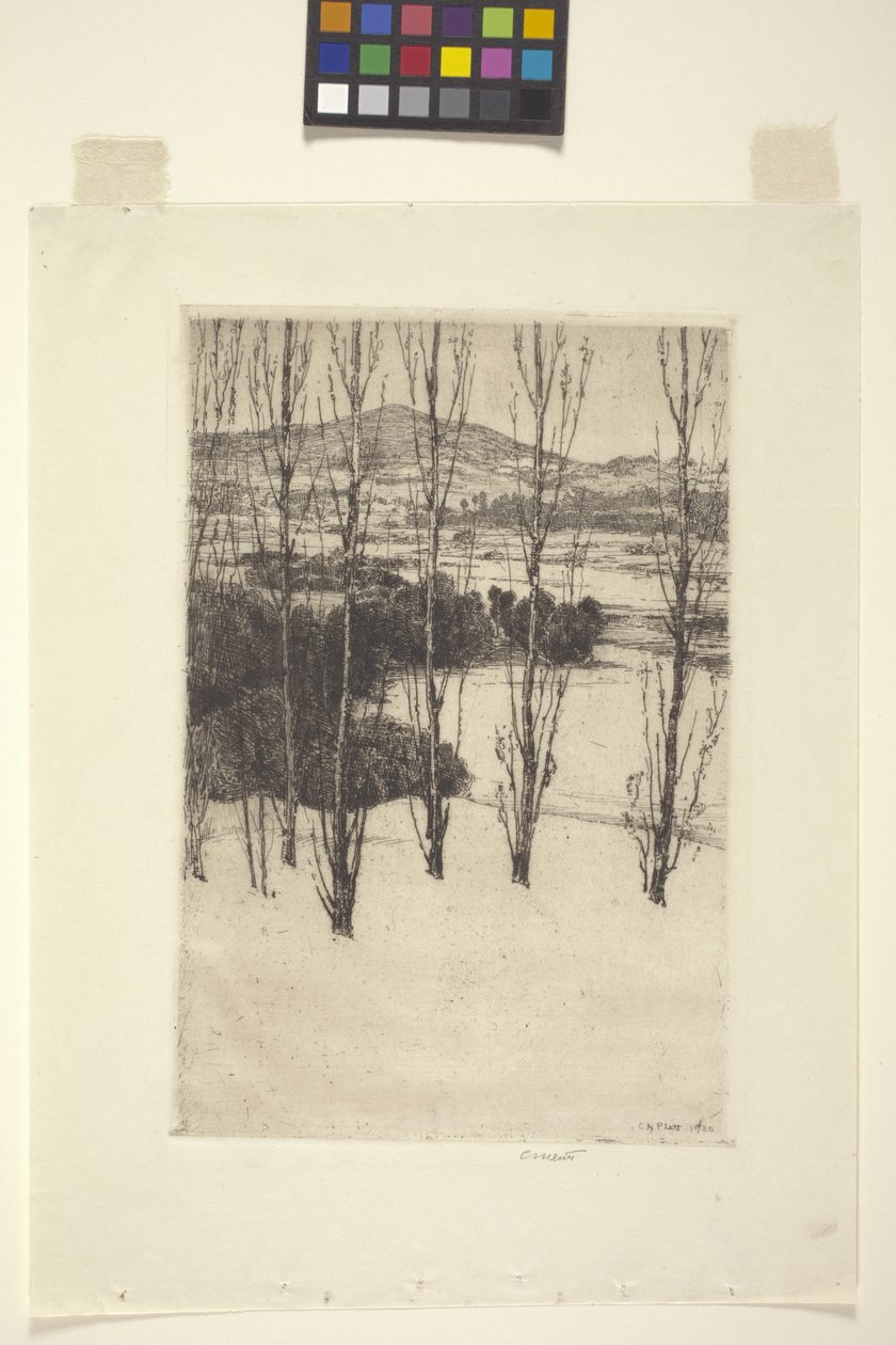 hora (inkoust) od Charles Adams Platt