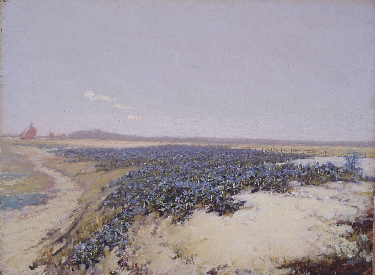 Duny pokryté květinami (olej na plátně) od Charles Augustus Lasar