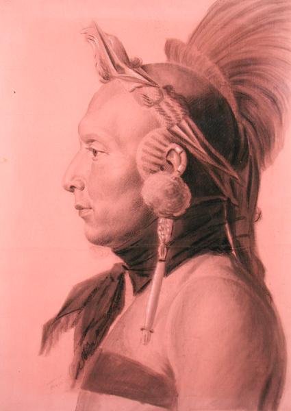 Portrét indického, možná Shahaka, mandanského náčelníka (tužka a dřevěné uhlí na barevném papíře) od Charles Balthazar Julien Févret de Saint Mémin