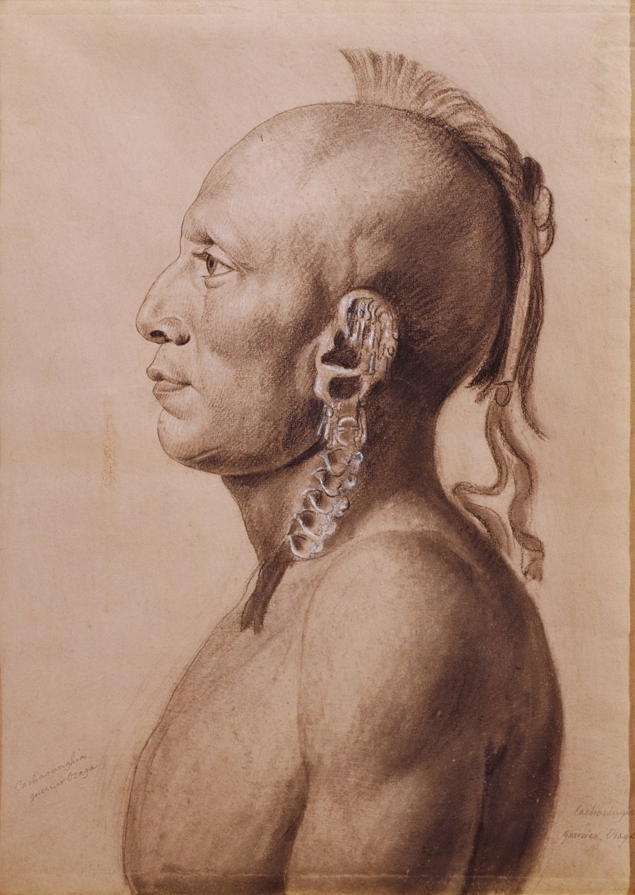 Cachasunghia, Osage Warrior, 1806 (tužka a dřevěné uhlí na papíře) od Charles Balthazar Julien Févret de Saint Mémin