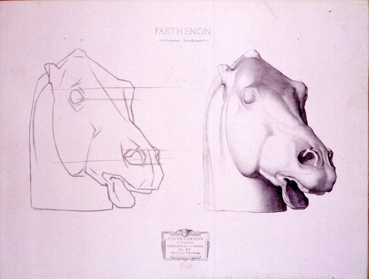 Koňská hlava ze západního štítu Parthenonu, deska 47 z Cours de Dessin, kolem roku 1898 od Charles Bargue