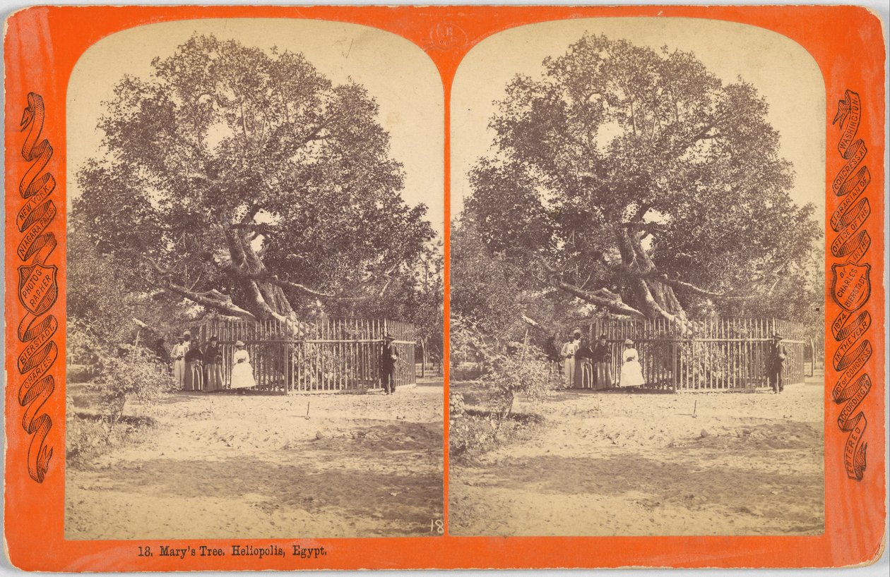 Maryin strom. Heliopolis, Egypt od Charles Bierstadt