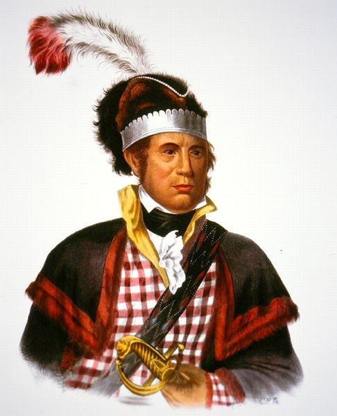 Náčelník McIntosh, ilustrace z 