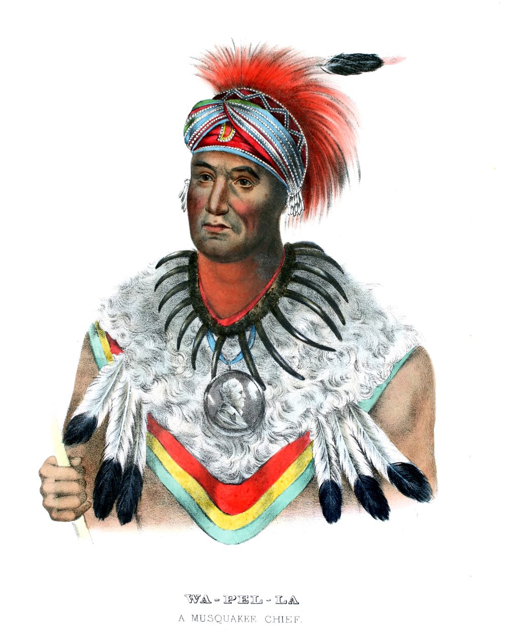 Wapella od Charles Bird (after) King