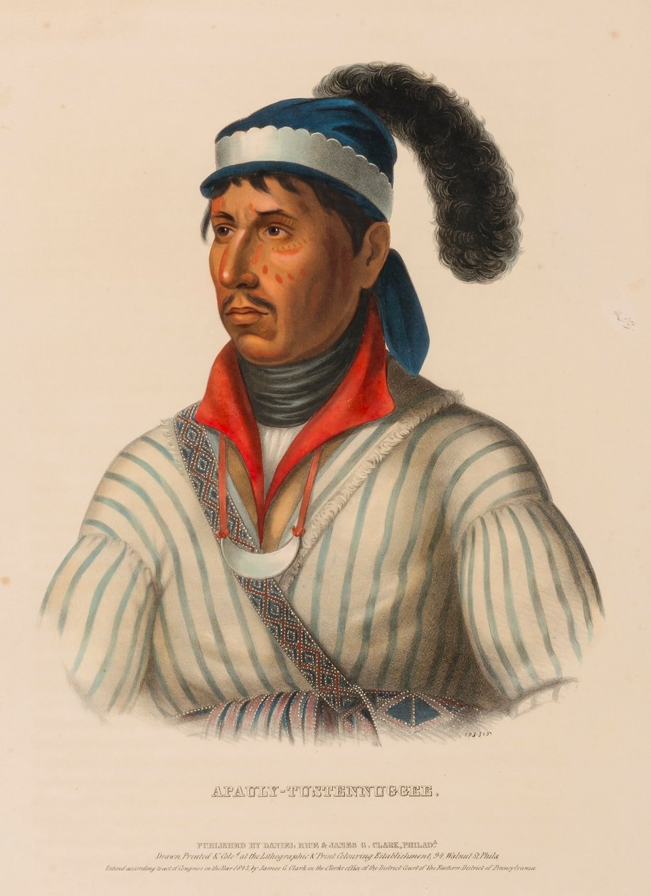APAULY-TUSTENNUGGEE., z knihy Dějiny indiánských kmenů Severní Ameriky. od Charles Bird King