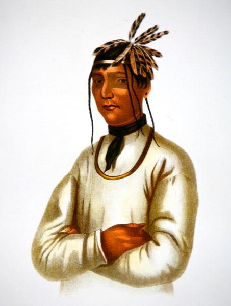 Caatosee z kmene Chippewa (barevné lito) od Charles Bird King