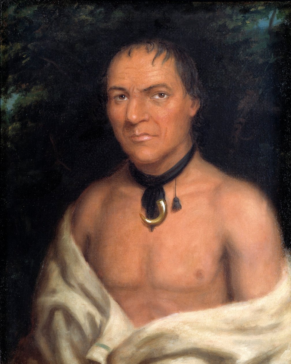 Co-sne-boin od Charles Bird King