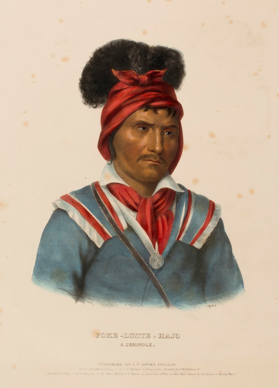 FOKE-LUSTE-HAJO. A SEMINOLE., z knihy Dějiny indiánských kmenů Severní Ameriky od Charles Bird King