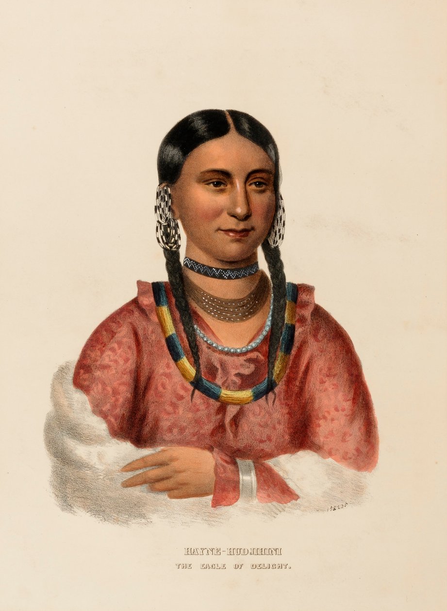 HAYNE-HUDJIHINI. Z knihy Dějiny indiánských kmenů Severní Ameriky. od Charles Bird King