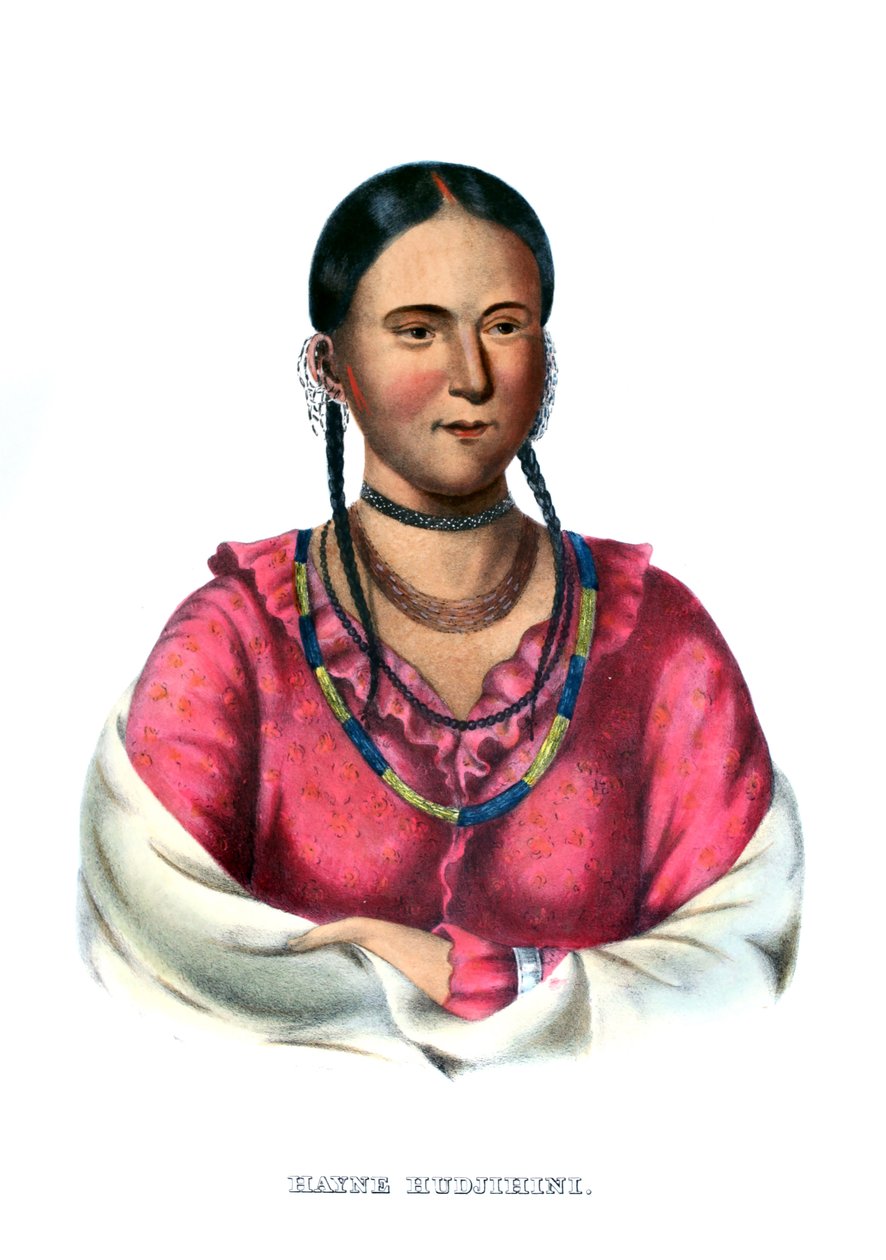 Hayne Hudjihini neboli Orel rozkoše od Charles Bird King