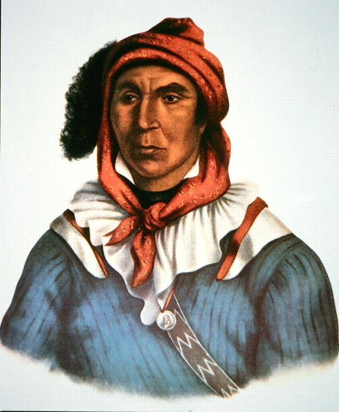 Julcee Mathla od Charles Bird King