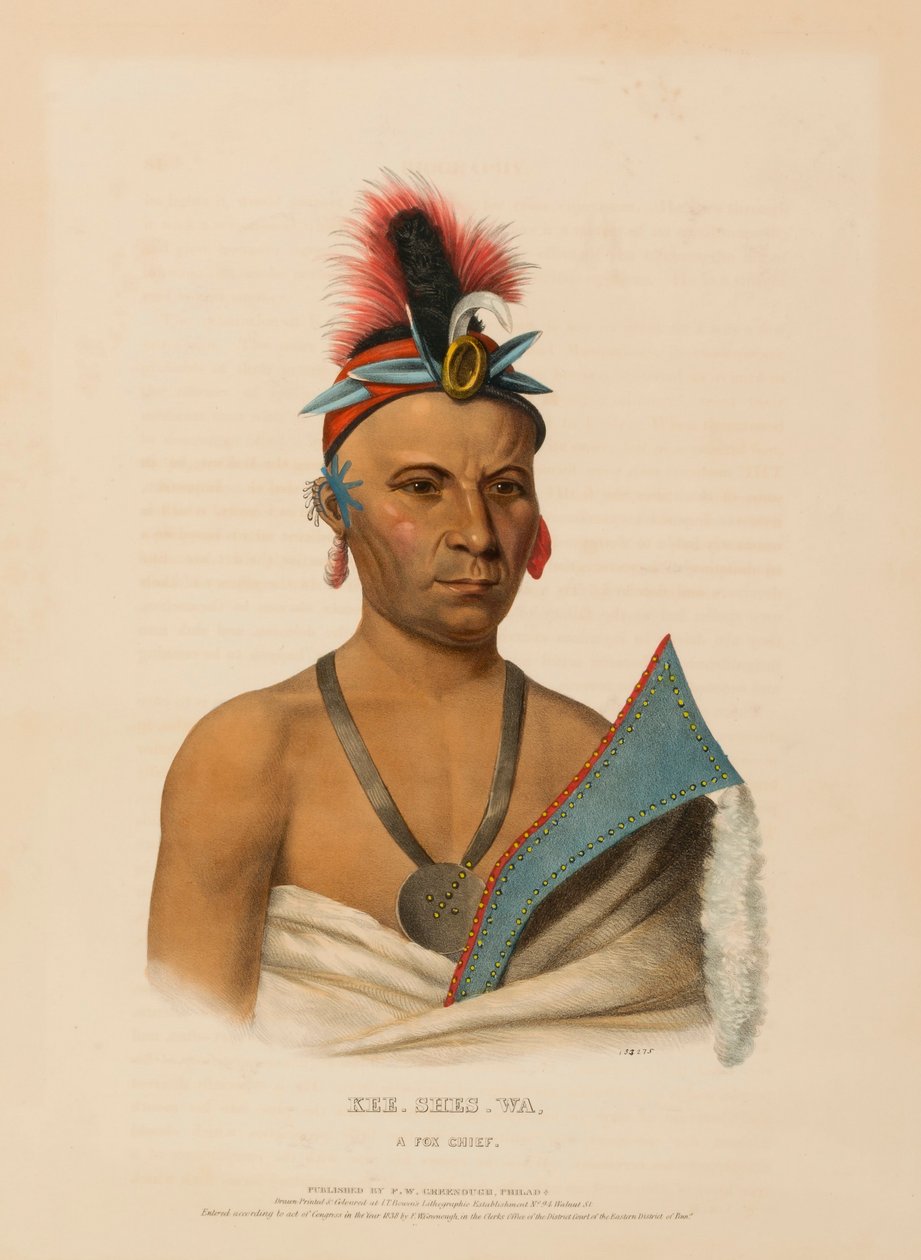 KEE-SHES-WA, LÍSKOVÝ ŠÉF, z knihy Dějiny indiánských kmenů Severní Ameriky. od Charles Bird King