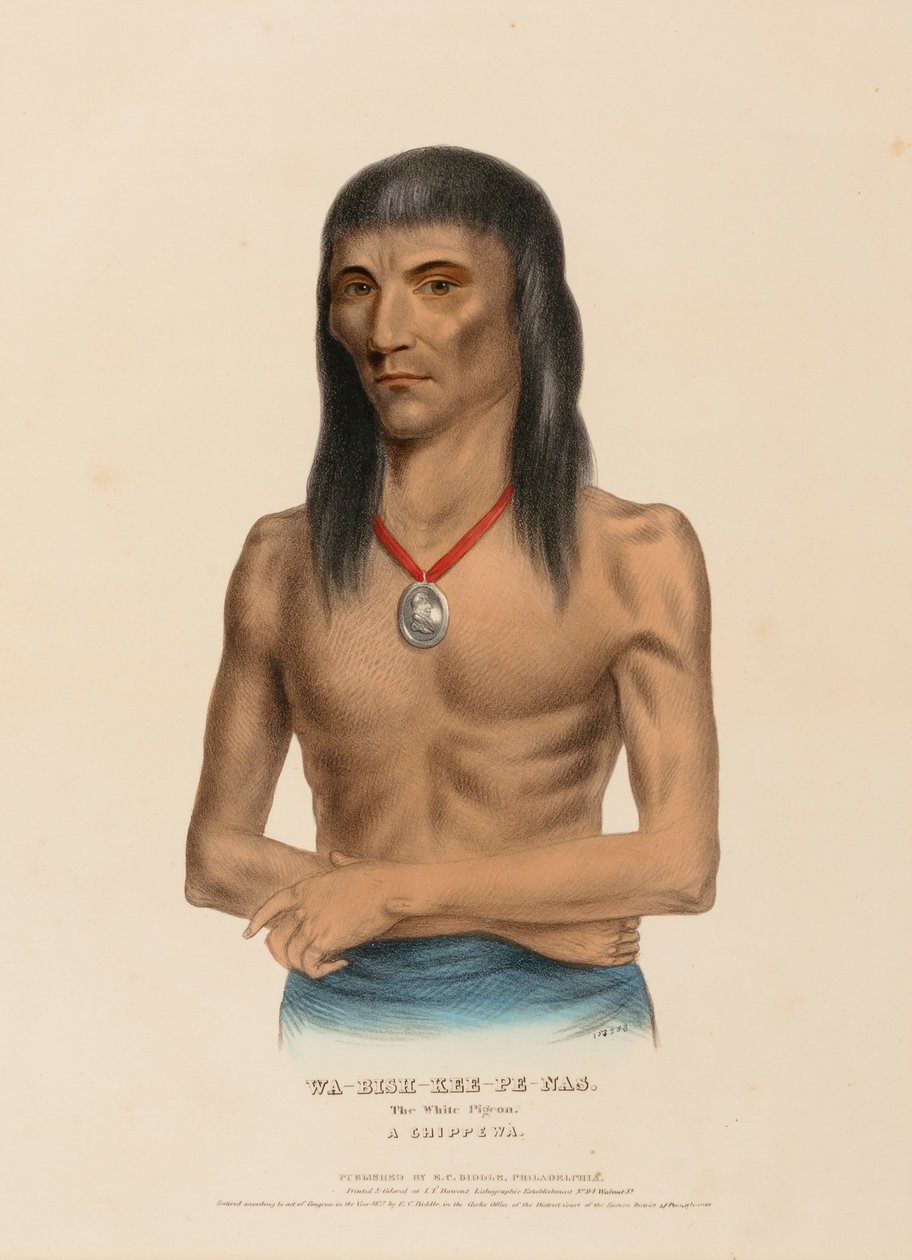WA-BISH-KEE-PE-NAS. Bílý holub. CHIPPEWA, z knihy Dějiny indiánských kmenů Severní Ameriky. od Charles Bird King