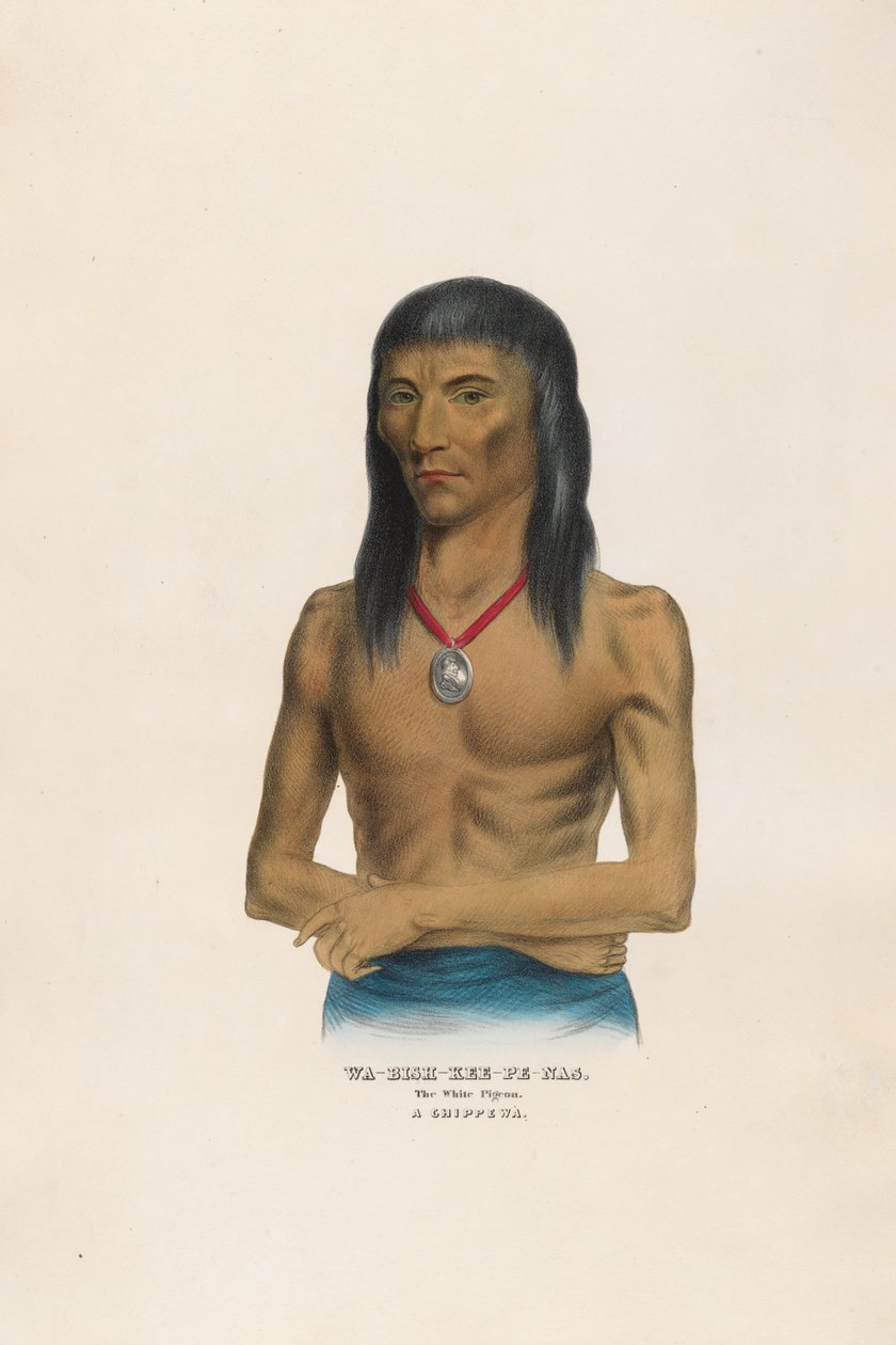 Wa-bish-kee-pe-nas - Bílý holub od Charles Bird King