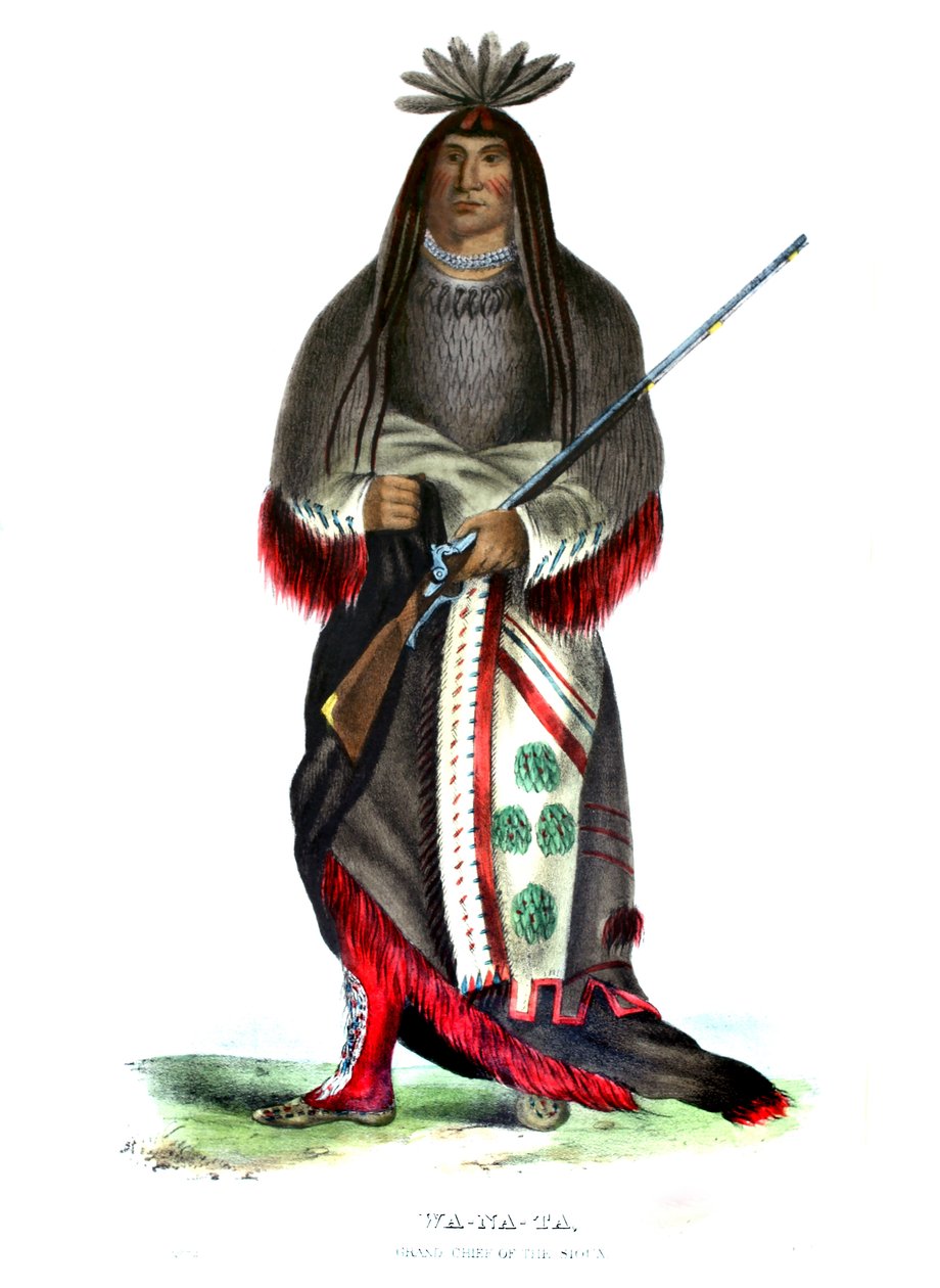 Wanata („Nabíječ“), Velký náčelník Siouxů od Charles Bird King