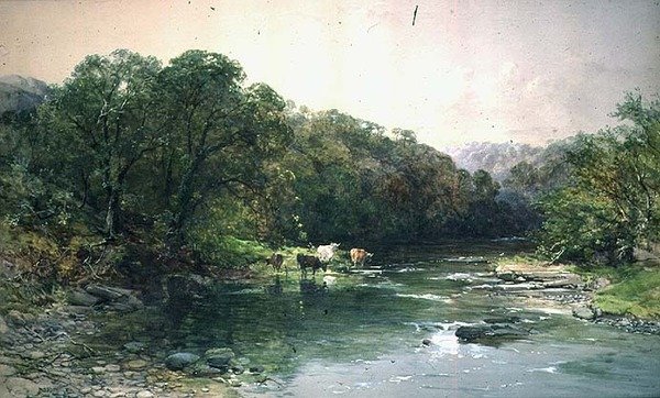 Na Dee, Severní Wales: Pití dobytka od Charles Branwhite