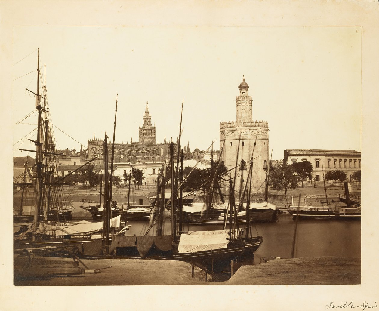 Katedrála, Torre del Oro a řeka Guadalquivir, Sevilla od Charles Clifford
