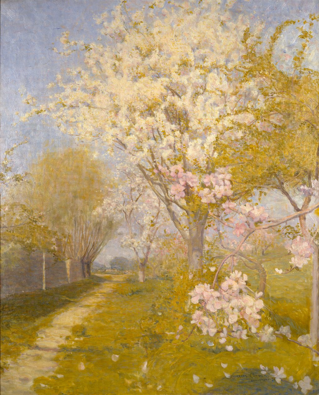 Apple Blossom v Dennemontu, 1893 od Charles Edward Conder