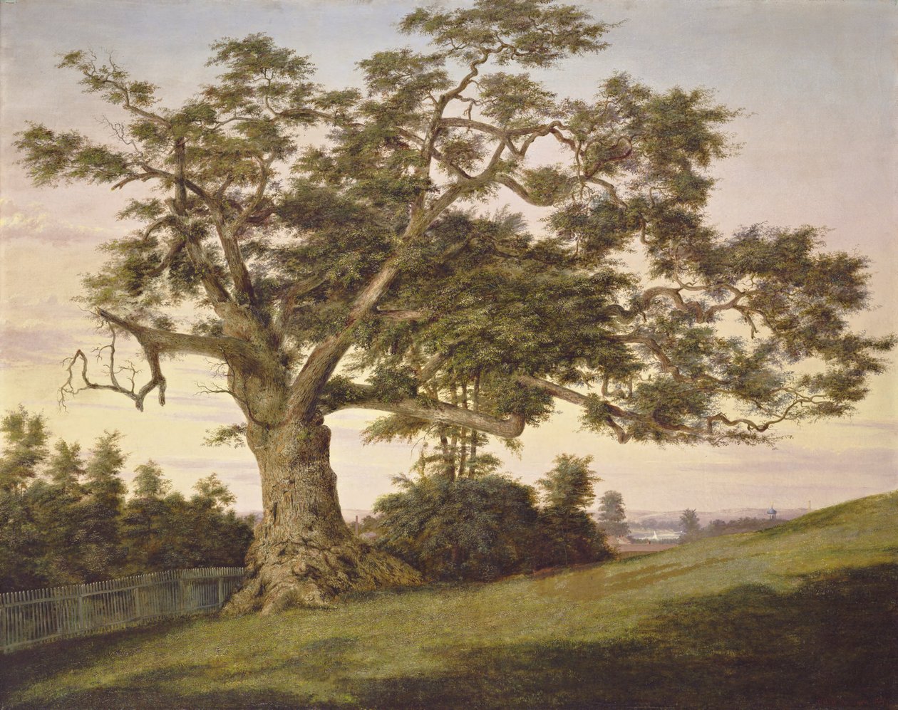 The Charter Oak od Charles de Wolf Brownell