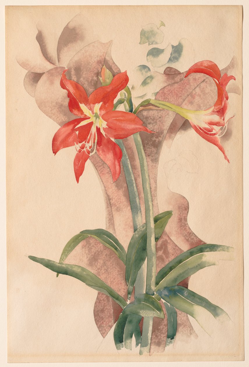 Amarylis od Charles Demuth