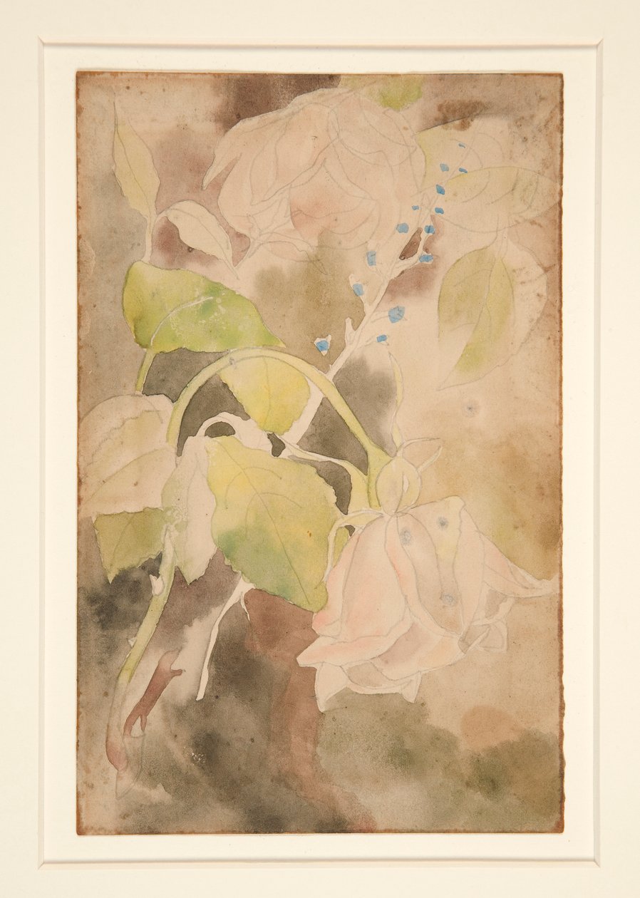Broskvová růže od Charles Demuth