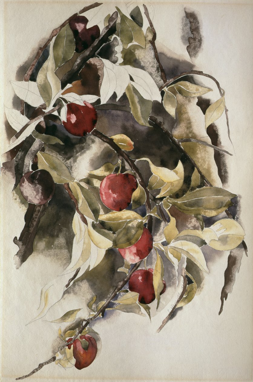 Švestky, 1925 od Charles Demuth