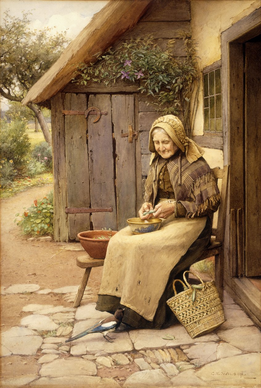 Jemně opeřený přítel (bez papíru) od Charles Edward Wilson