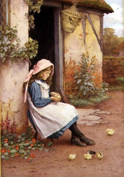 The Little Chick (akvarel) od Charles Edward Wilson