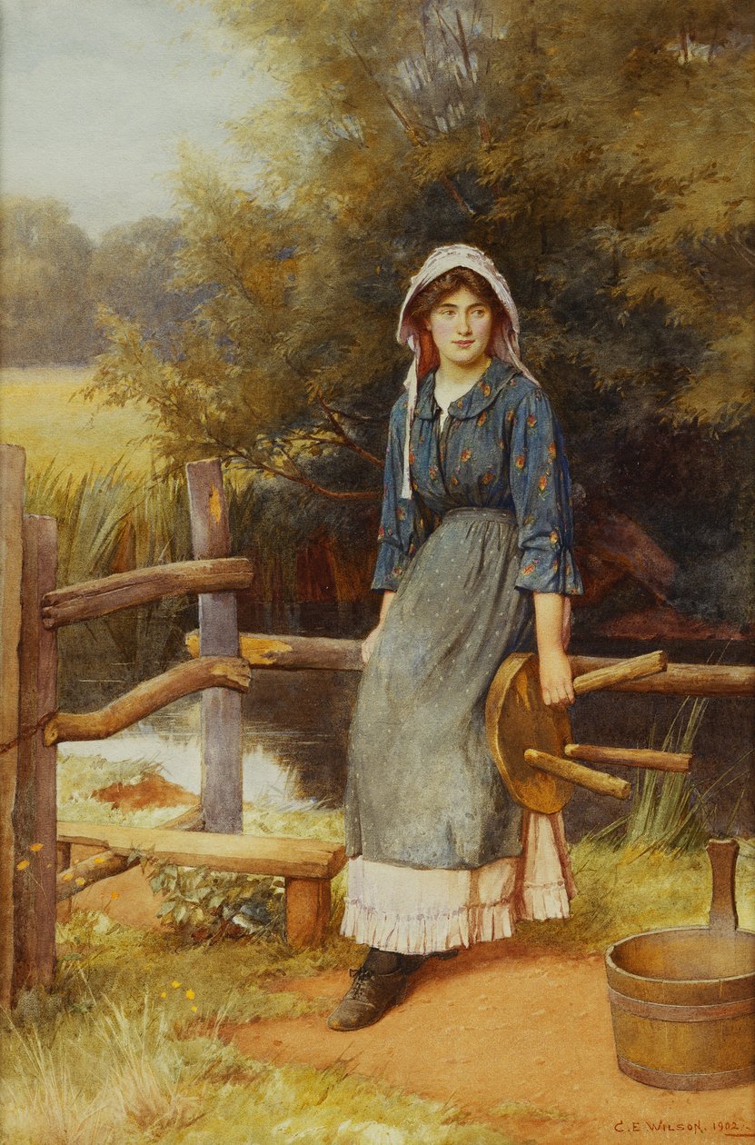 Dojička od Charles Edward Wilson