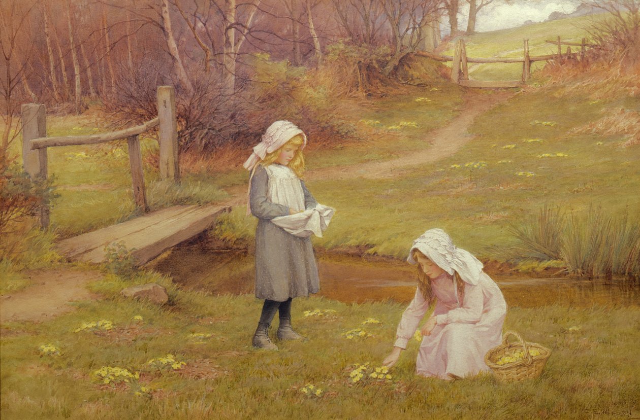 The Primrose Gatherers (wc) od Charles Edward Wilson