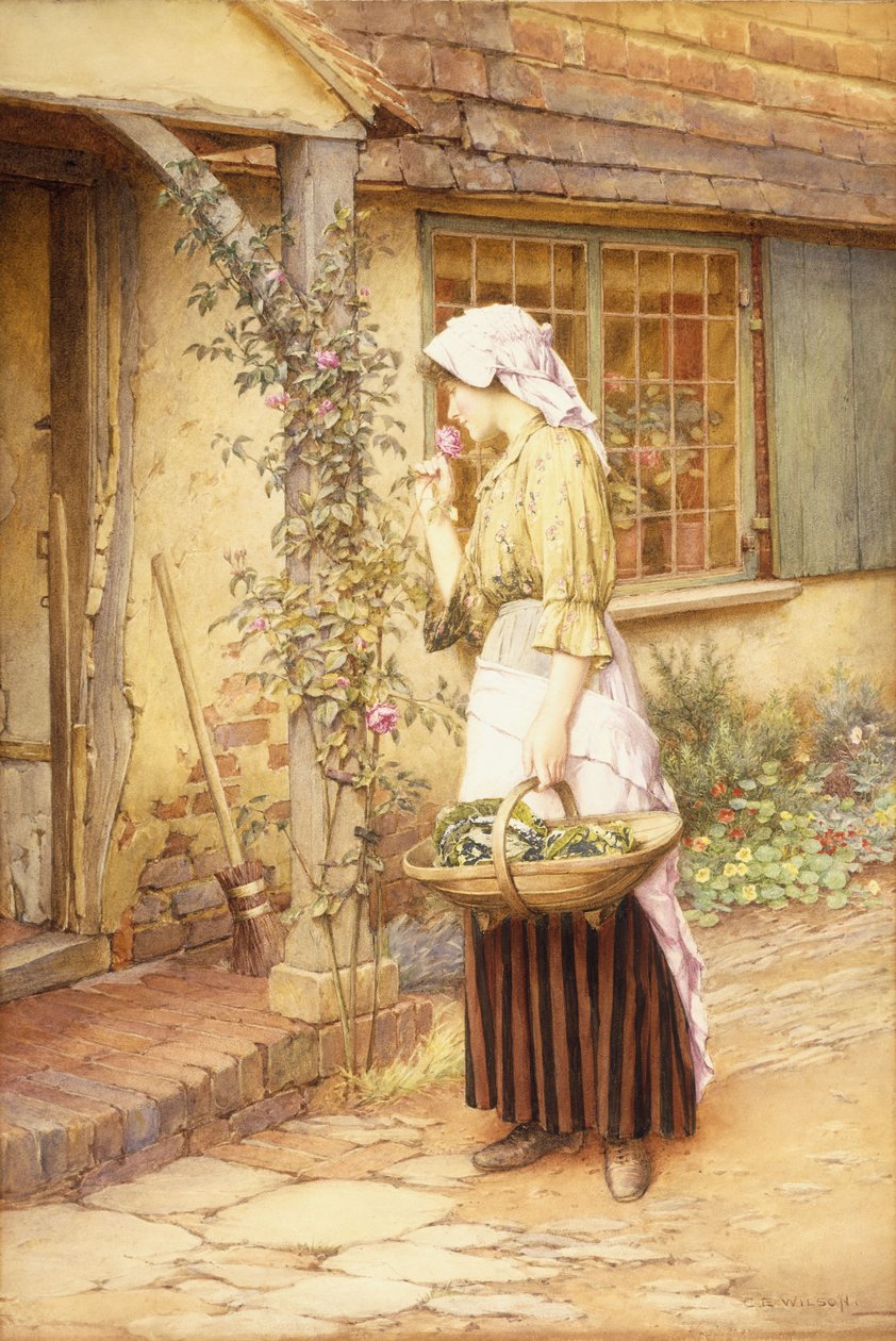 Nejsladší růže (bez papíru) od Charles Edward Wilson