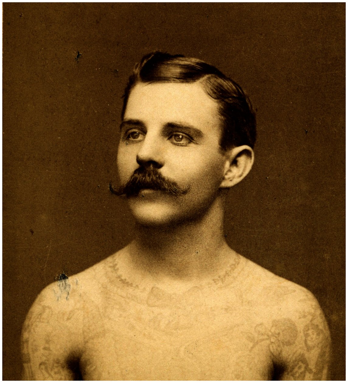 Frank Howard potetovaný muž, cca 1900 (kabinetní karta) od Charles Eisenmann