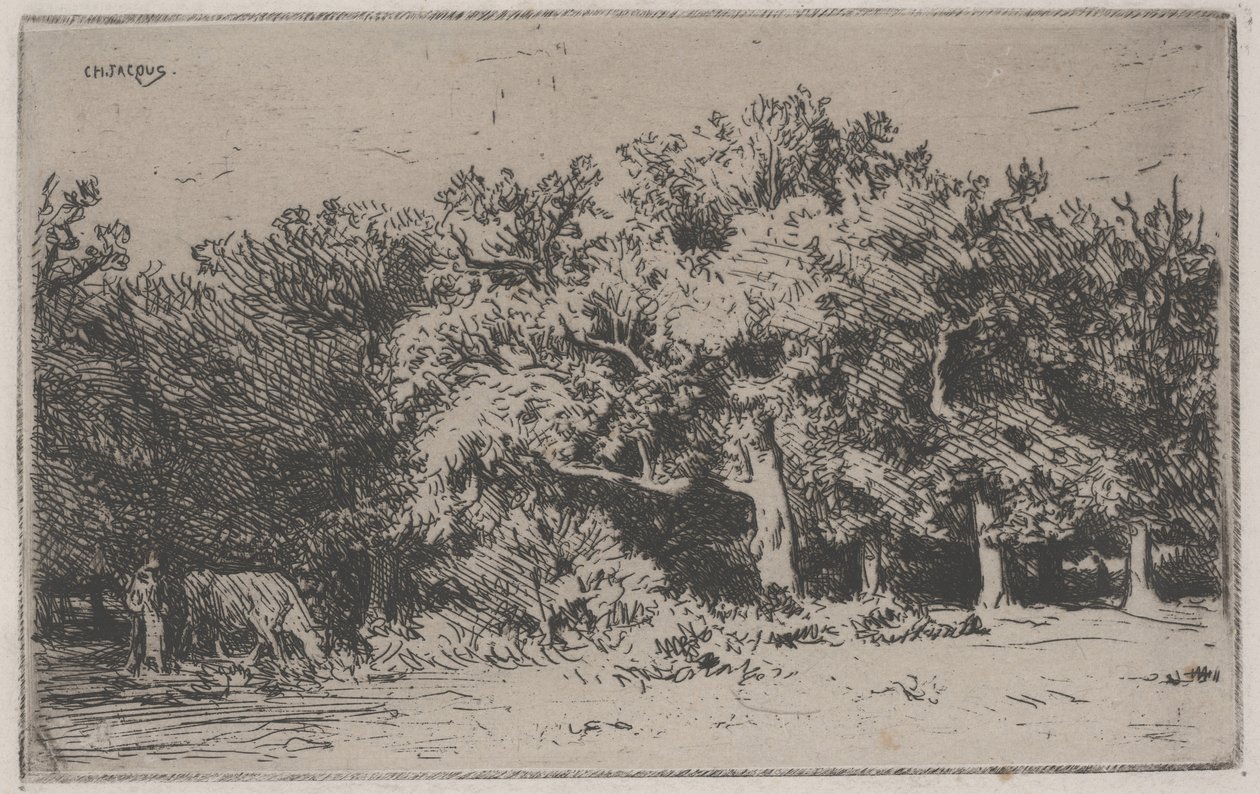 Koutek lesa Fontainebleau (lept) od Charles Emile Jacque