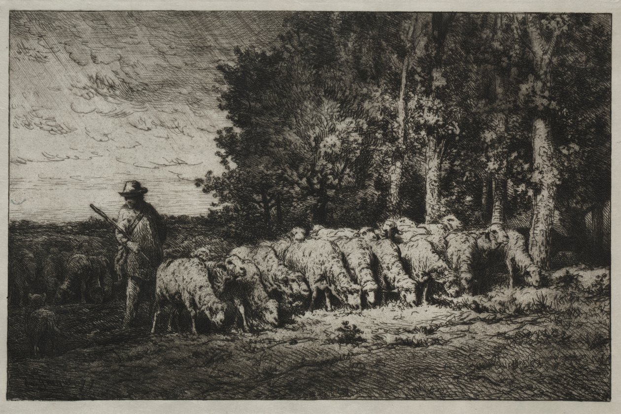 Stádo na okraji lesa od Charles Emile Jacque