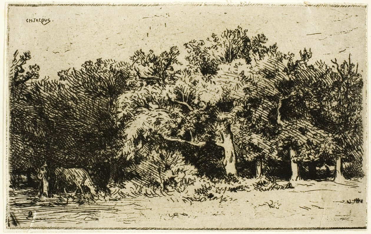 Část lesa Fontainebleau od Charles Emile Jacque