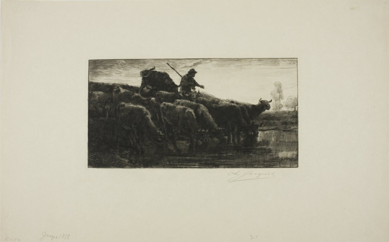 Stádo krav u krmného žlabu od Charles Emile Jacque