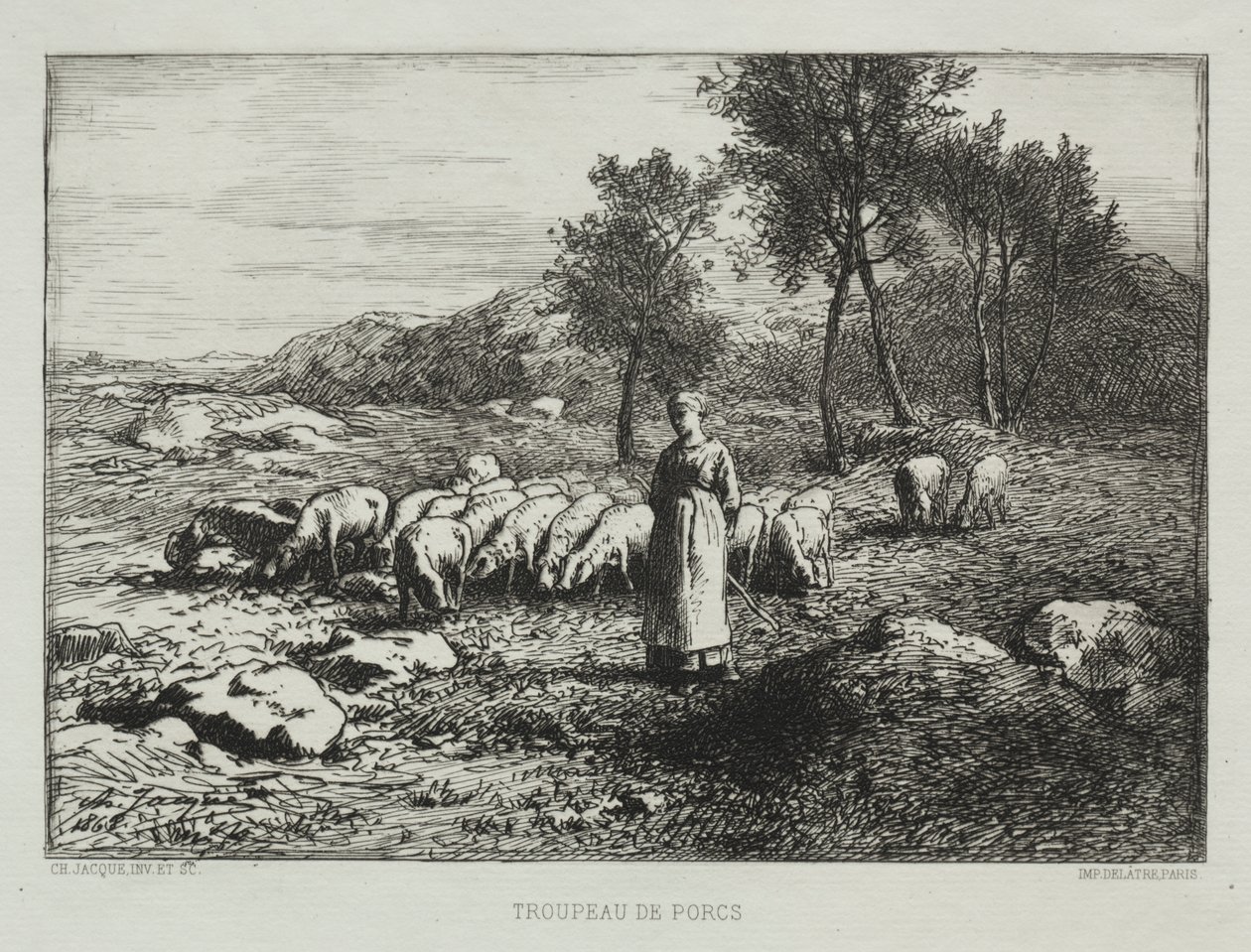 Stádo sviní od Charles Emile Jacque