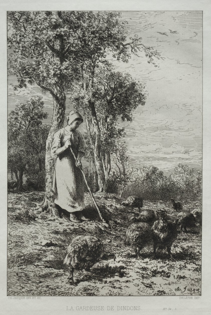 Krůtí brankář. od Charles Emile Jacque