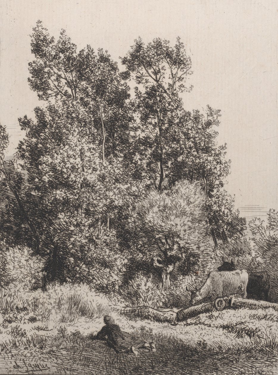 Krajina, 1864. od Charles Emile Jacque